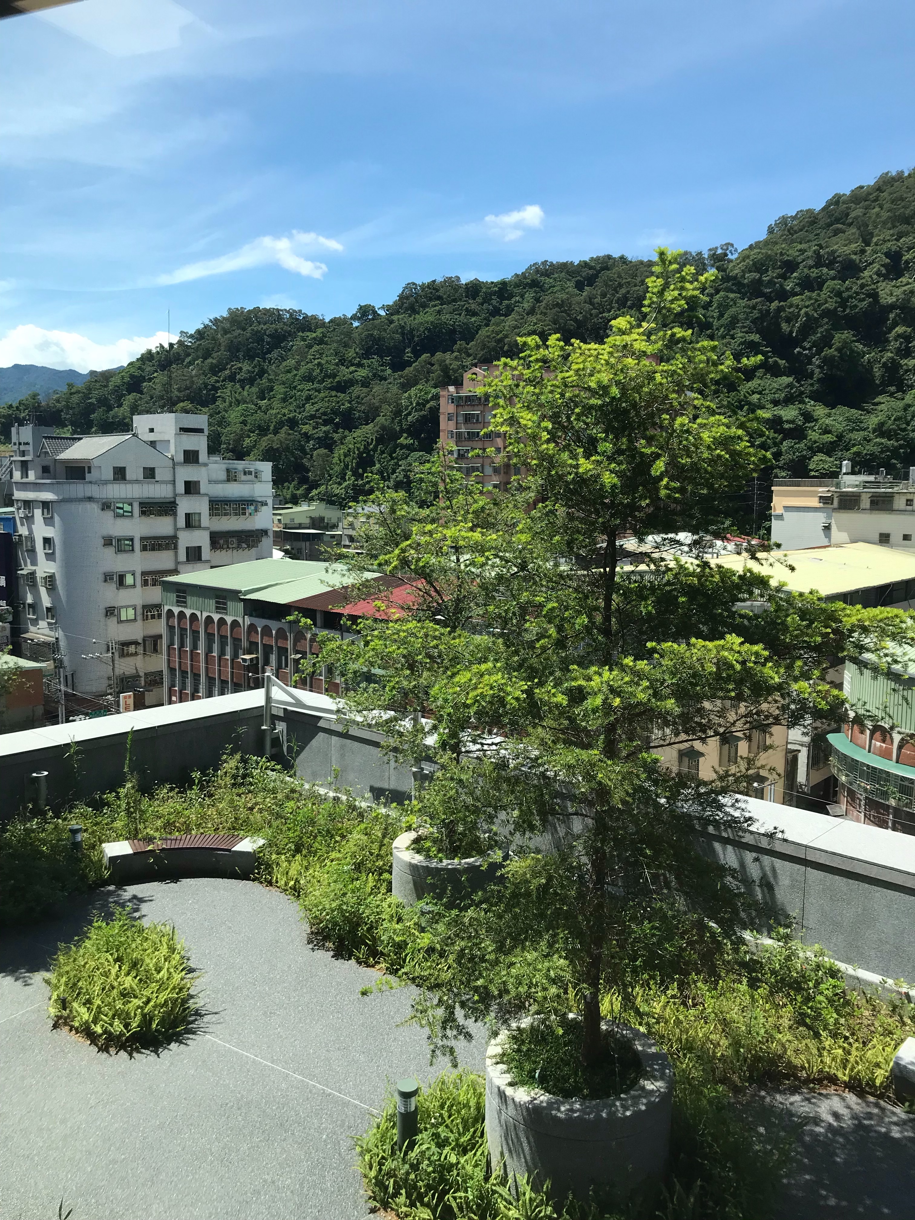 化療中心前綠意盎然景觀